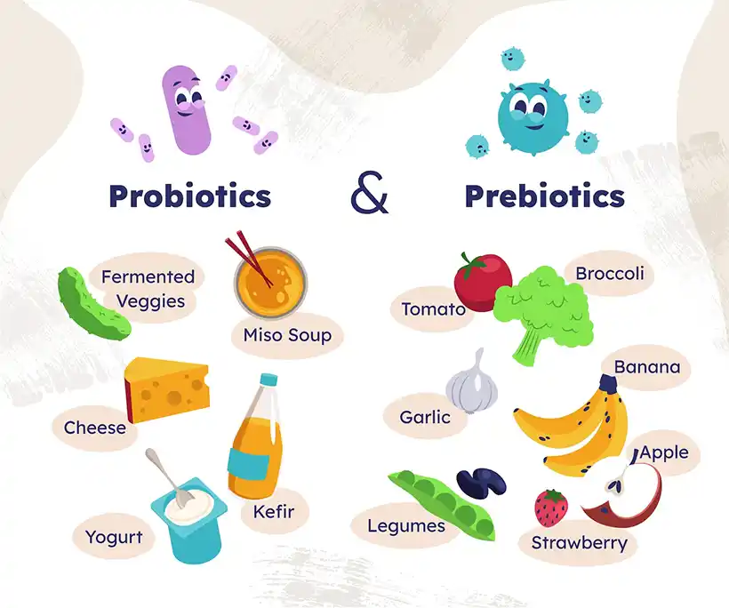 Probiotic Foods vs. Probiotic Supplements