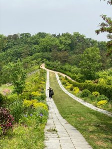 Home 32 Person walking a calm tree-lined path, a simple stress-management habit that supports weight loss