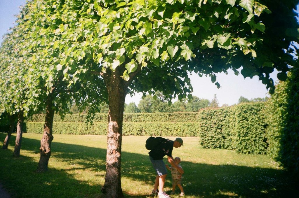 Father and child walking under trees, healthy habits for busy dads